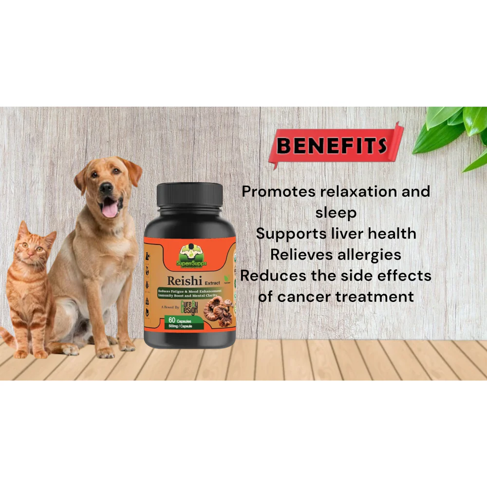 Cure By Design Reishi Mushroom Capsules for Dogs and Cats - Image 4