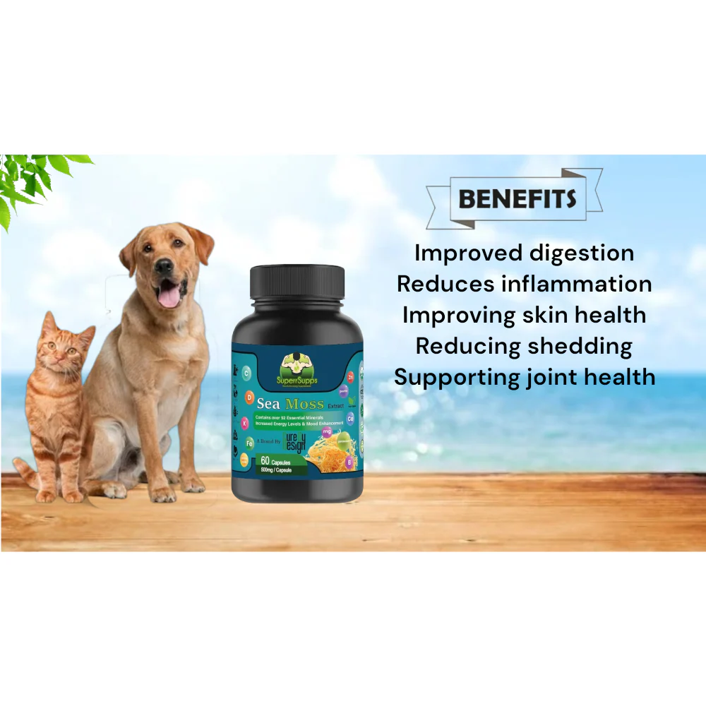 Cure By Design Sea moss Capsules for Dogs and Cats - Image 3