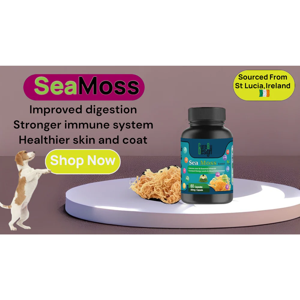 Cure By Design Sea moss Capsules for Dogs and Cats - Image 4