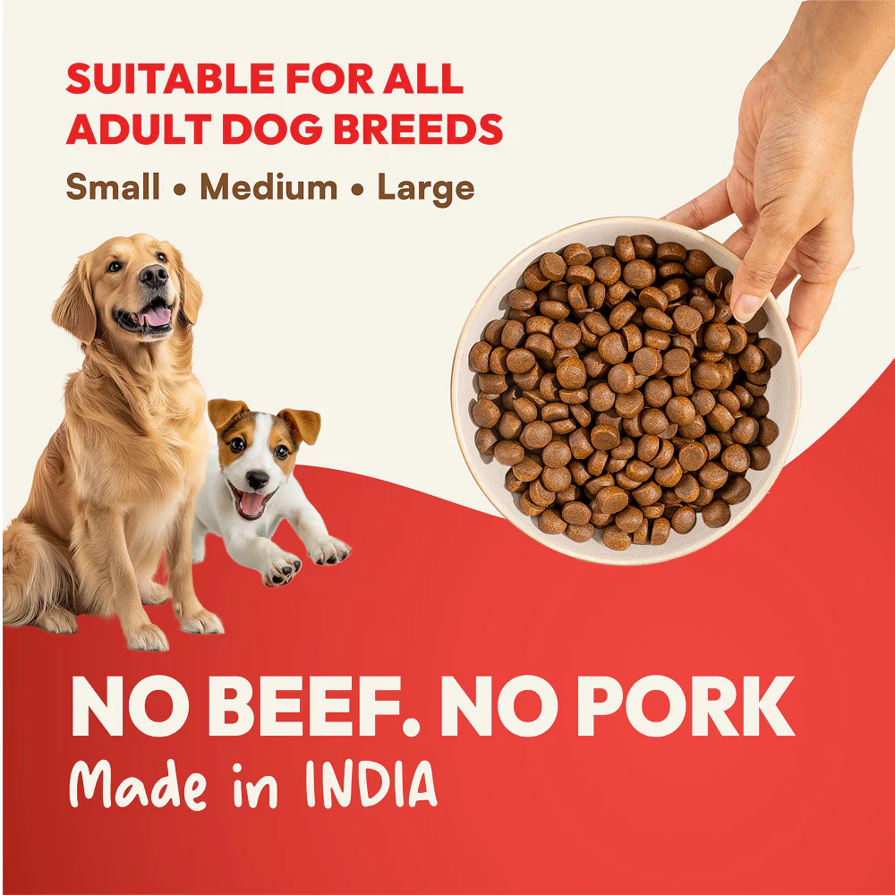 DatGud Chicken & Brown Rice Adult Dog Dry Food - Image 3