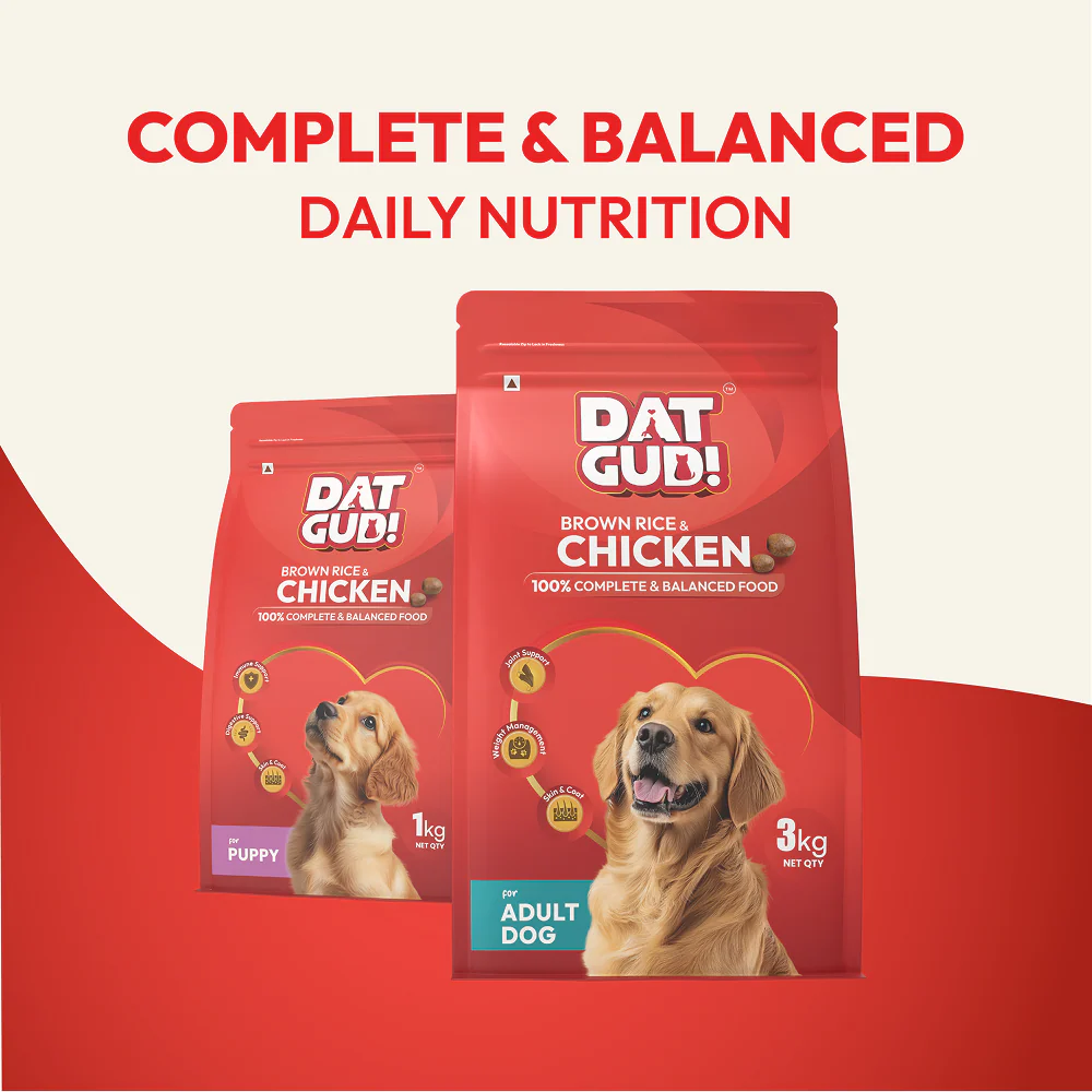 DatGud Chicken & Brown Rice Adult Dog Dry Food - Image 4