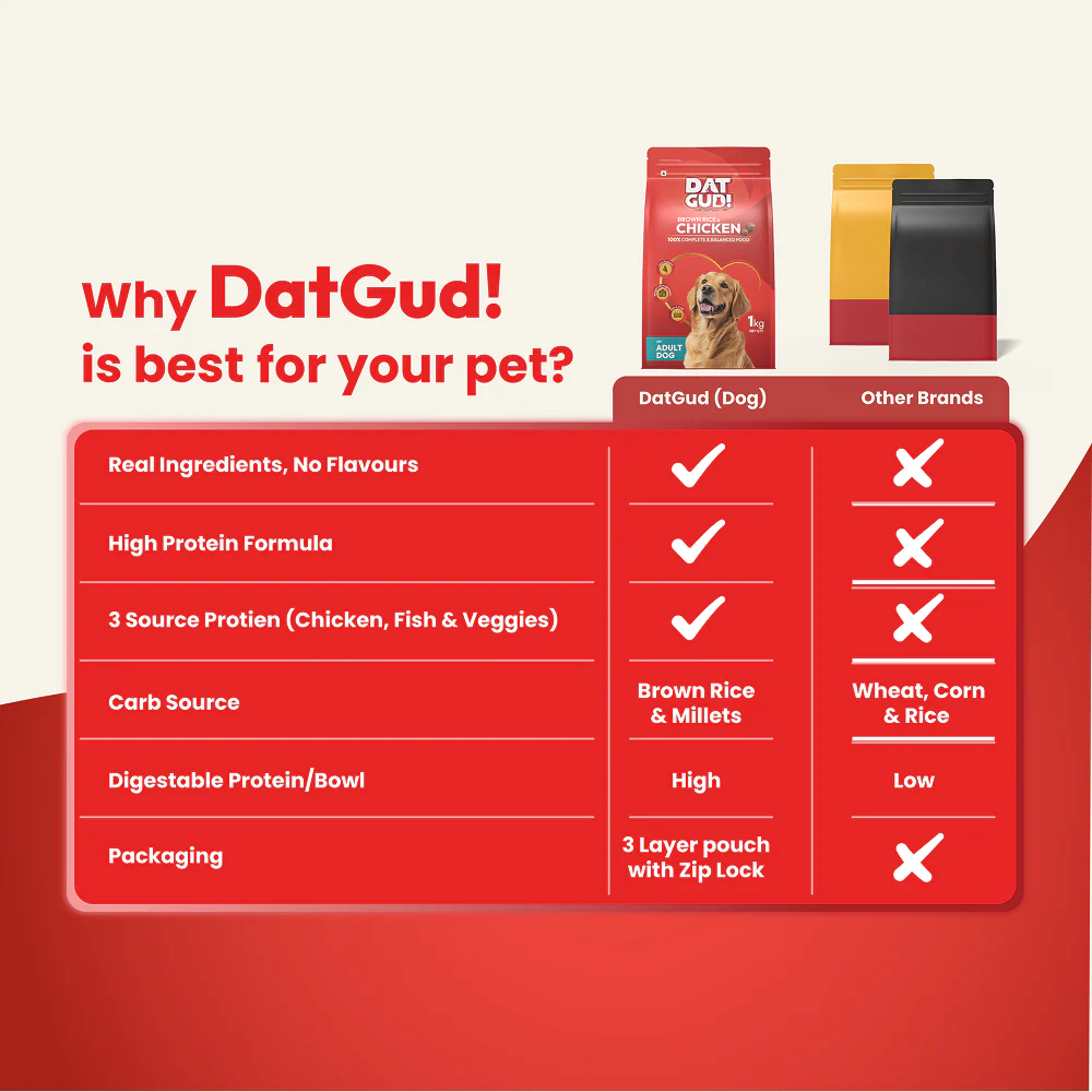 DatGud Chicken & Brown Rice Adult Dog Dry Food - Image 5