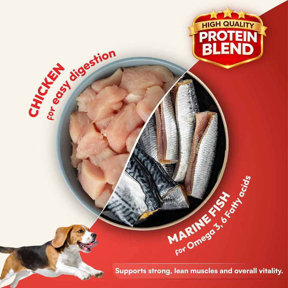 DatGud Chicken & Brown Rice Adult Dog Dry Food - Image 7