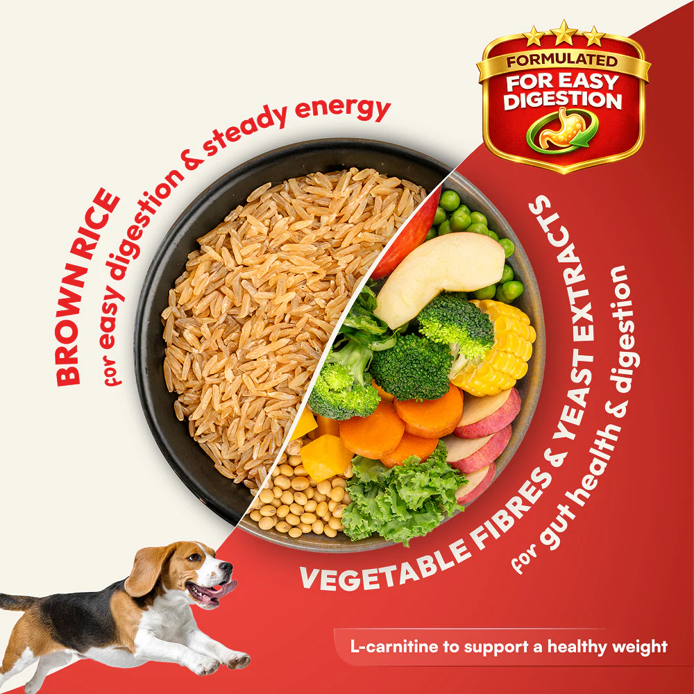 DatGud Chicken & Brown Rice Adult Dog Dry Food - Image 8