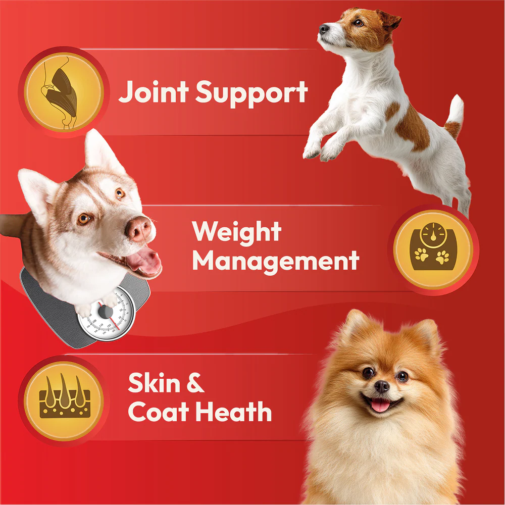 DatGud Chicken & Brown Rice Adult Dog Dry Food - Image 10