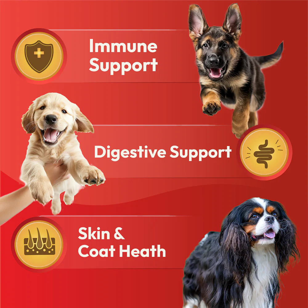 DatGud Chicken & Brown Rice Puppy Dog Dry Food - Image 9
