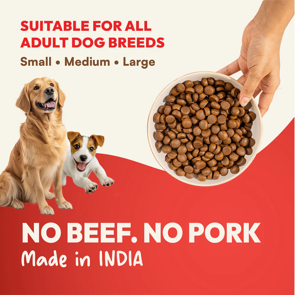 DatGud Chicken & Brown Rice Puppy Dog Dry Food - Image 14