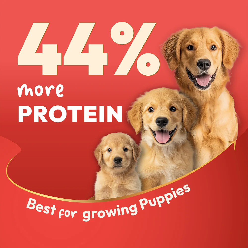 DatGud Chicken & Brown Rice Puppy Dog Dry Food - Image 5