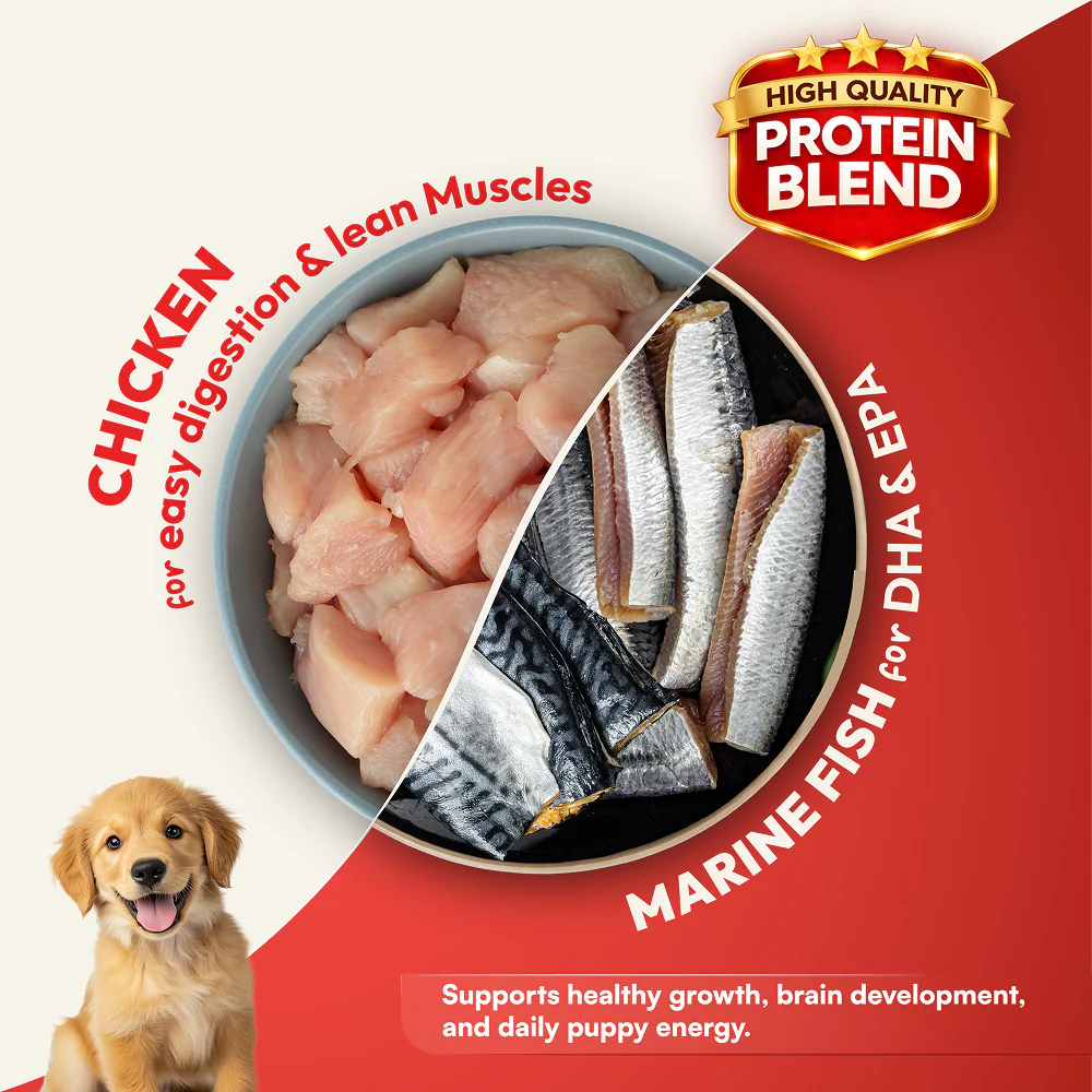 DatGud Chicken & Brown Rice Puppy Dog Dry Food - Image 6