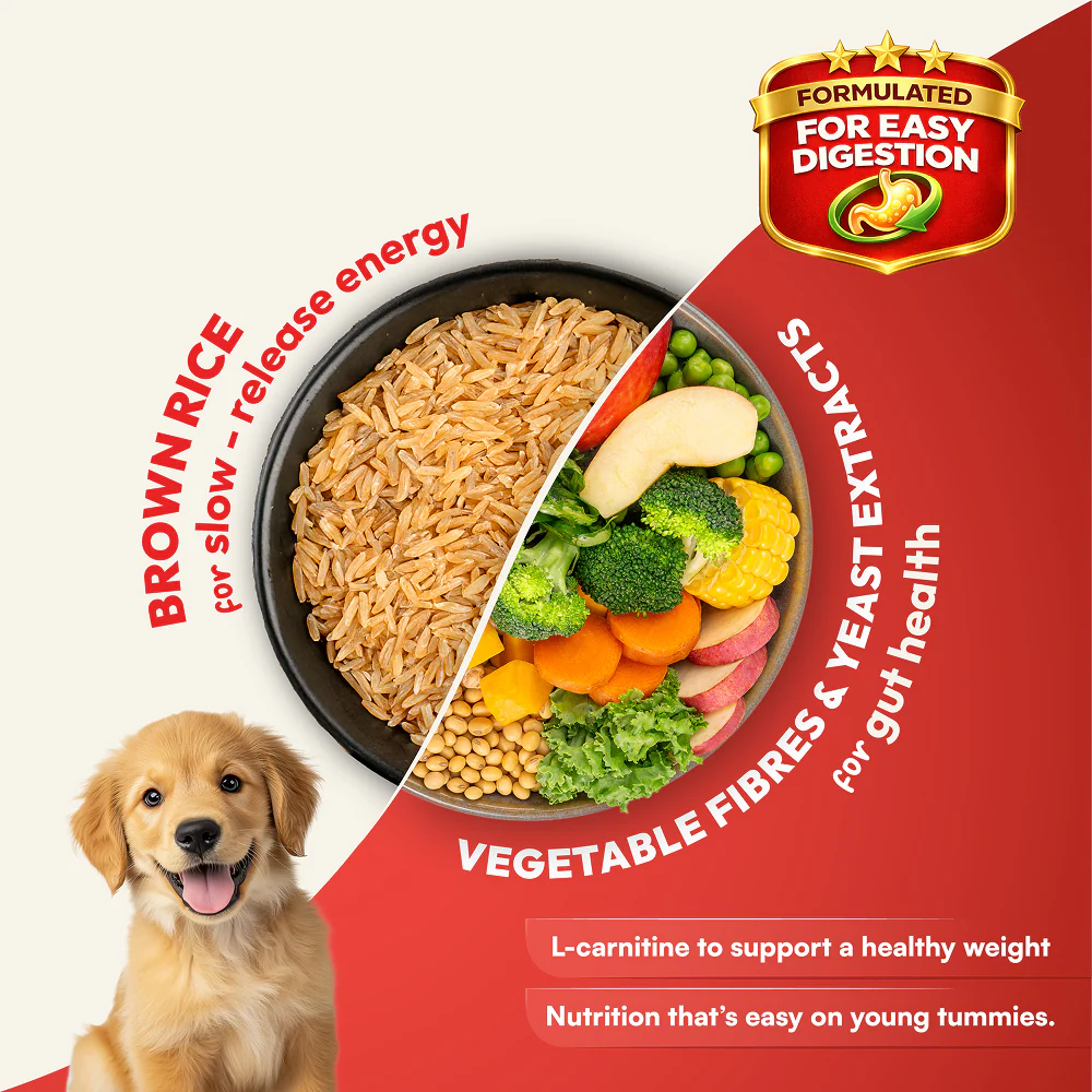 DatGud Chicken & Brown Rice Puppy Dog Dry Food - Image 7