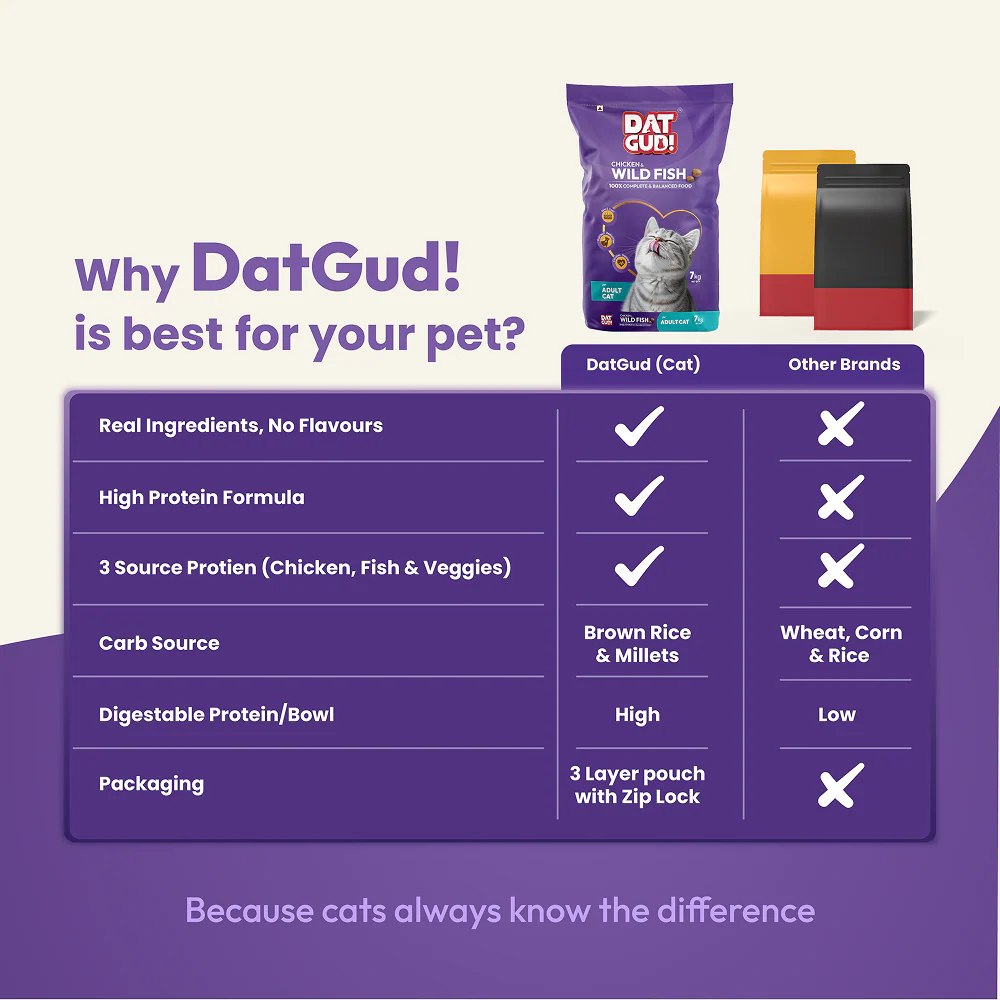 DatGud Chicken & Wild Fish Adult Cat Dry Food - Image 17