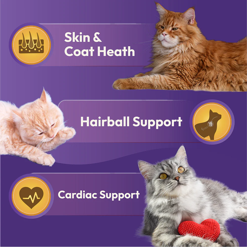 DatGud Chicken & Wild Fish Adult Cat Dry Food - Image 19
