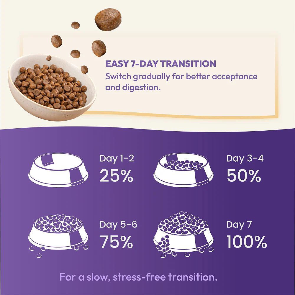 DatGud Chicken & Wild Fish Adult Cat Dry Food (Buy 1 Get 1 Free) - Image 10