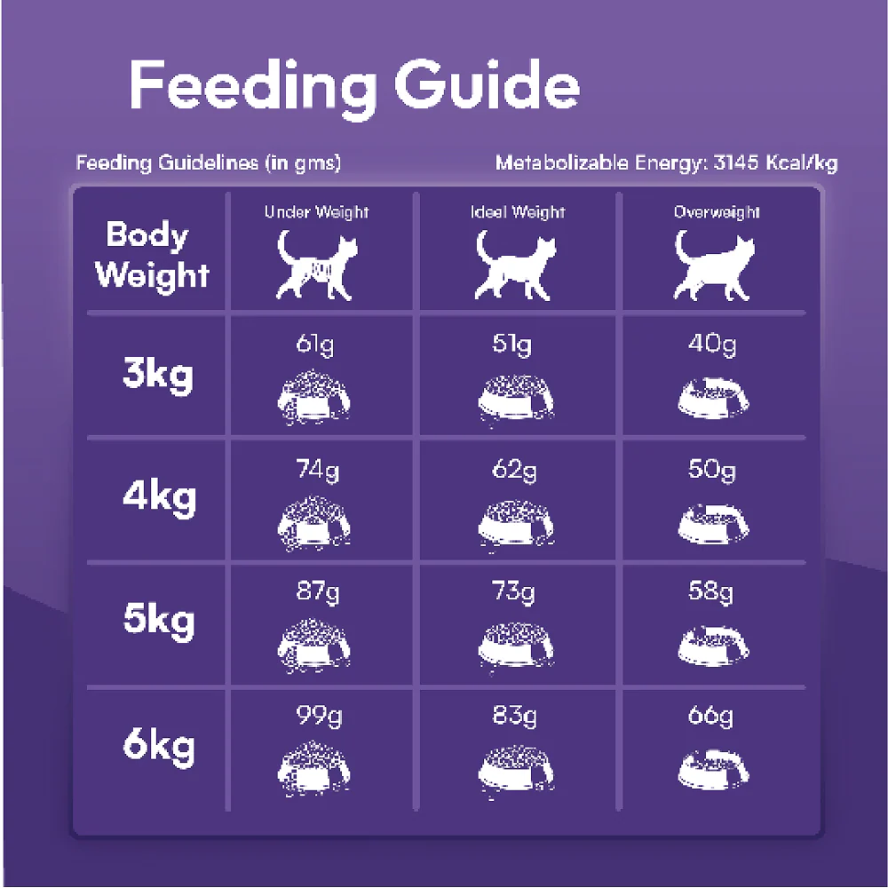 DatGud Chicken & Wild Fish Adult Cat Dry Food (Buy 1 Get 1 Free) - Image 11