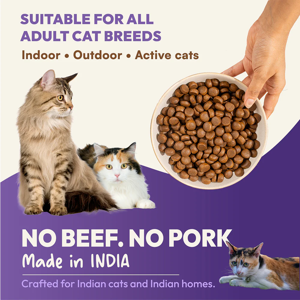 DatGud Chicken & Wild Fish Adult Cat Dry Food (Buy 1 Get 1 Free) - Image 12