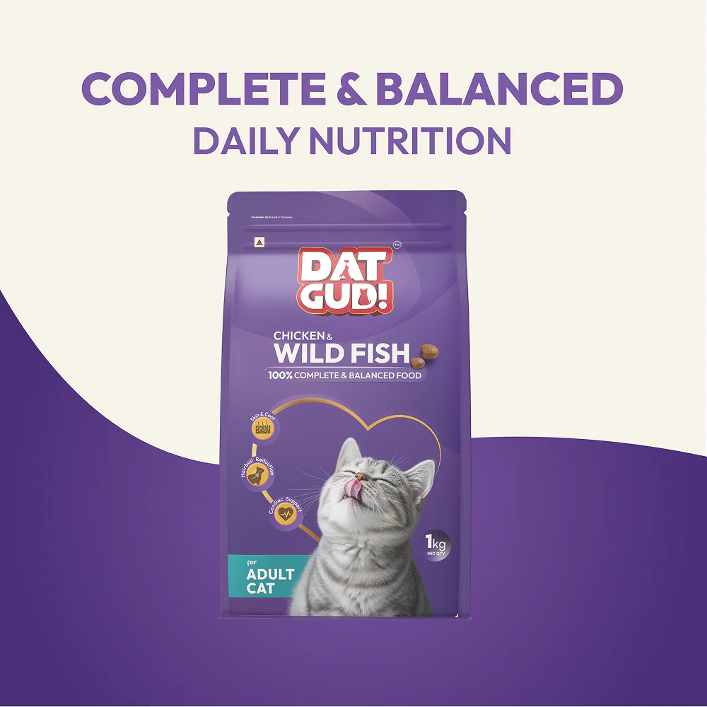 DatGud Chicken & Wild Fish Adult Cat Dry Food (Buy 1 Get 1 Free) - Image 13