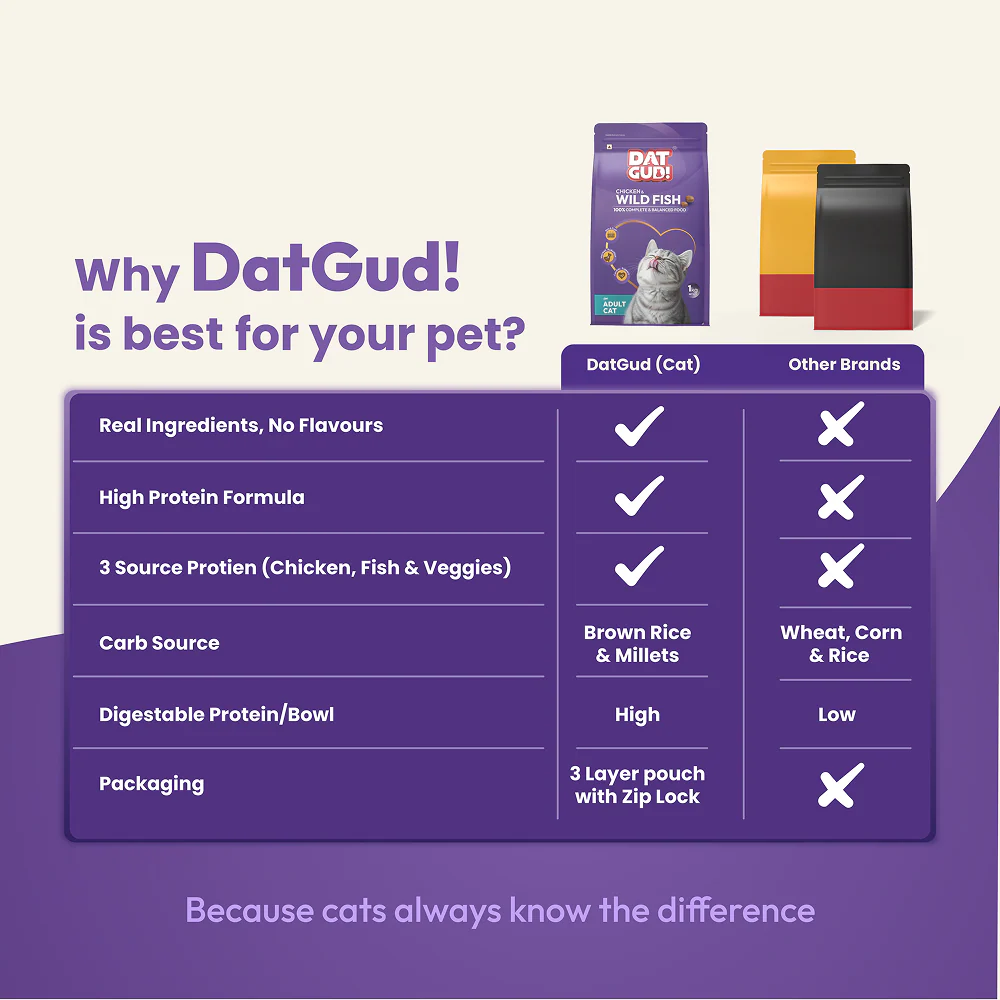 DatGud Chicken & Wild Fish Adult Cat Dry Food (Buy 1 Get 1 Free) - Image 2
