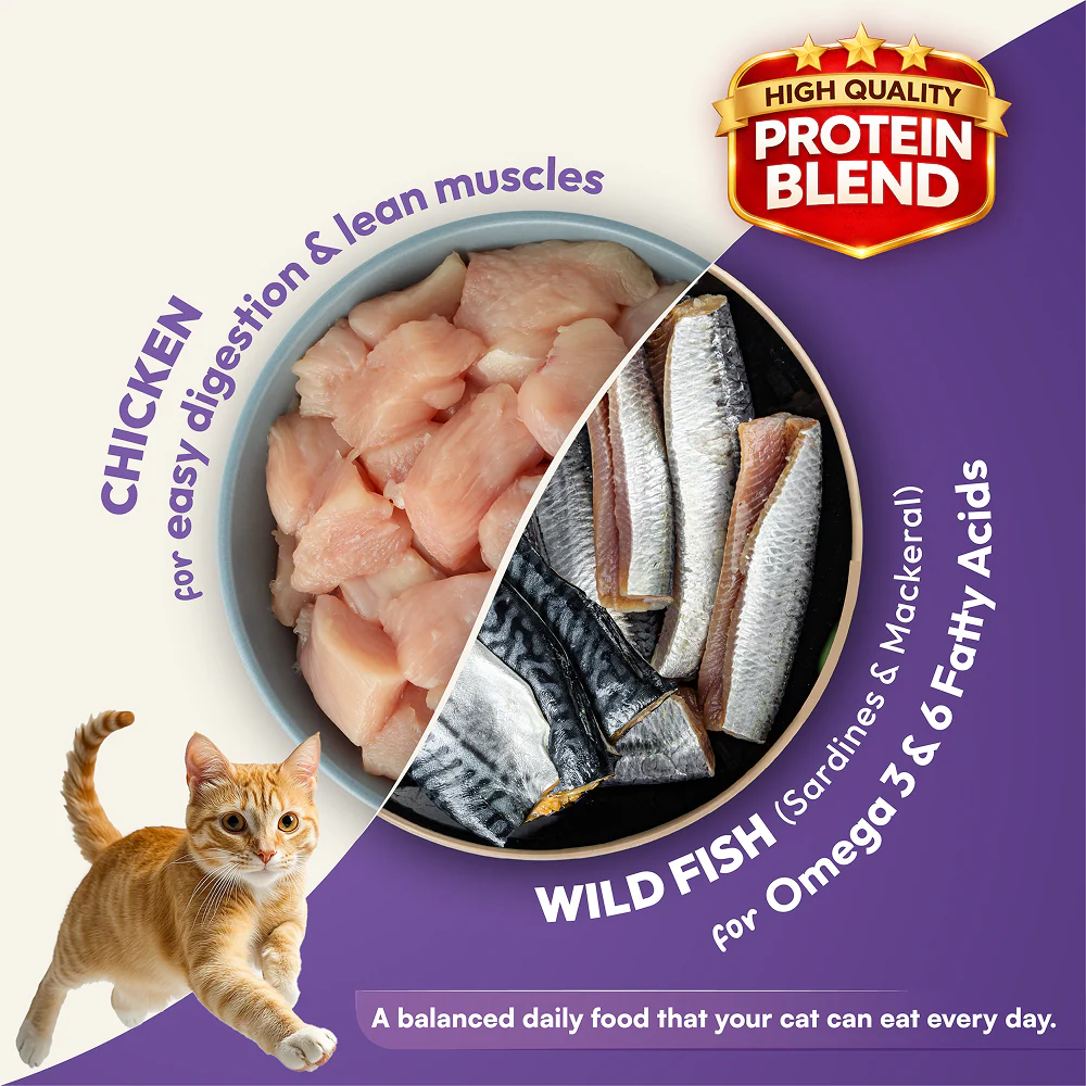 DatGud Chicken & Wild Fish Adult Cat Dry Food (Buy 1 Get 1 Free) - Image 4