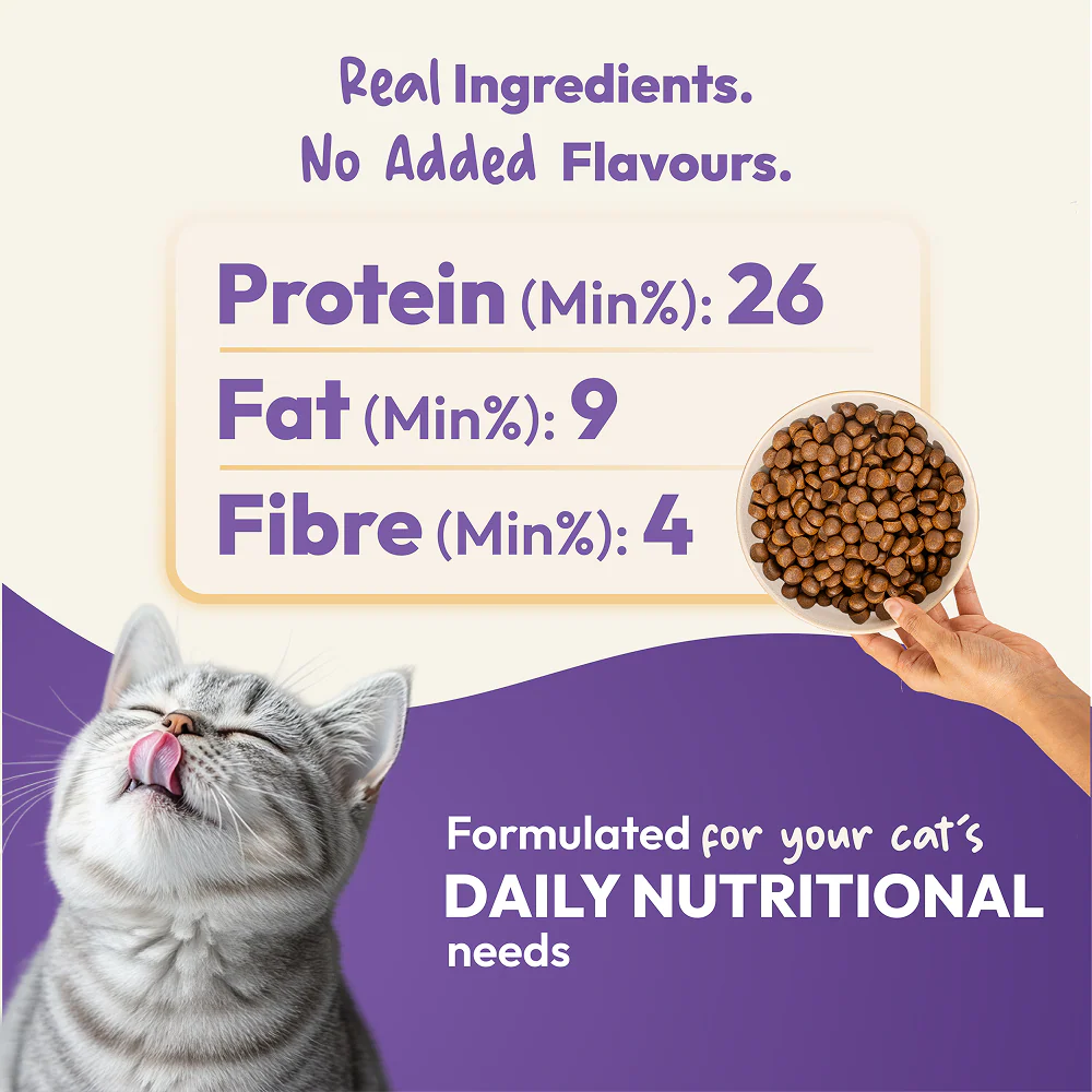 DatGud Chicken & Wild Fish Adult Cat Dry Food (Buy 1 Get 1 Free) - Image 6