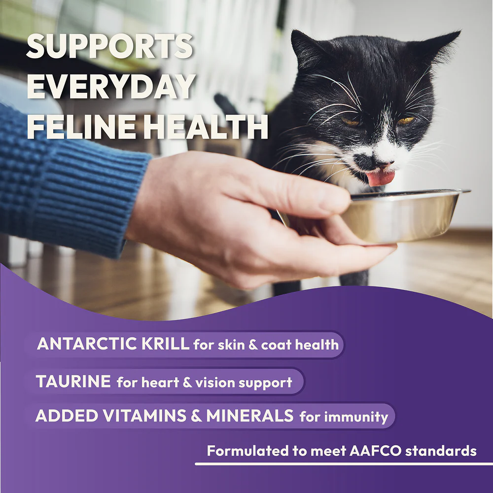 DatGud Chicken & Wild Fish Adult Cat Dry Food (Buy 1 Get 1 Free) - Image 8