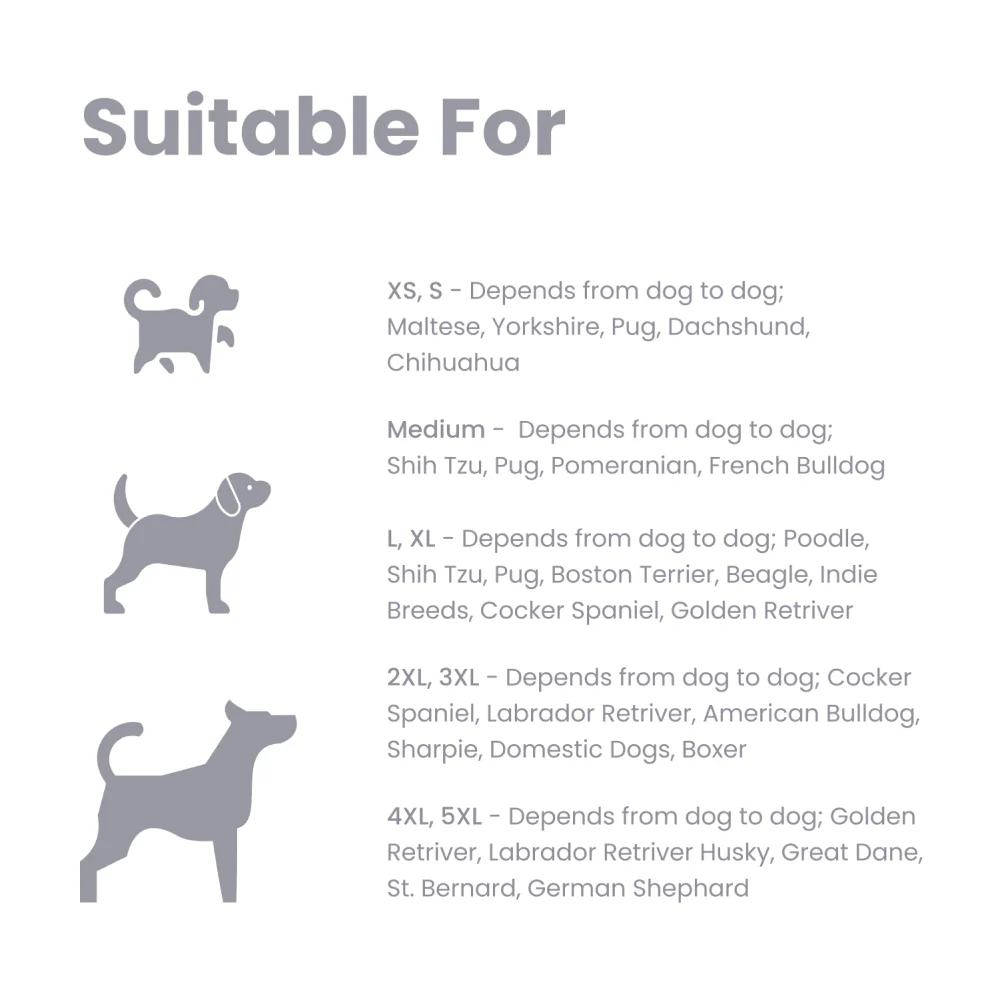 Dear Pet Quilted Jacket for Dogs (Blue) - Image 4