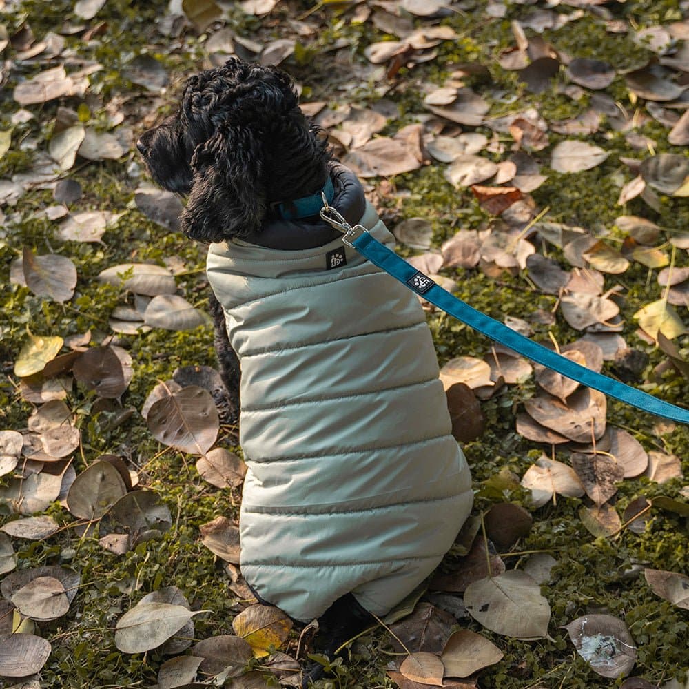 Dear Pet Quilted Jacket for Dogs (Mint) - Image 10