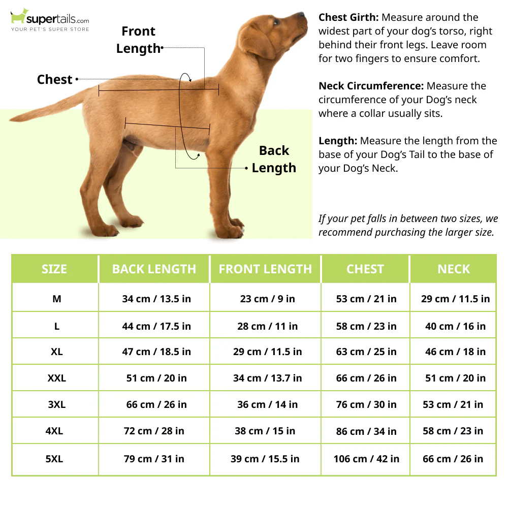 Dear Pet Quilted Jacket for Dogs (Mint) - Image 2