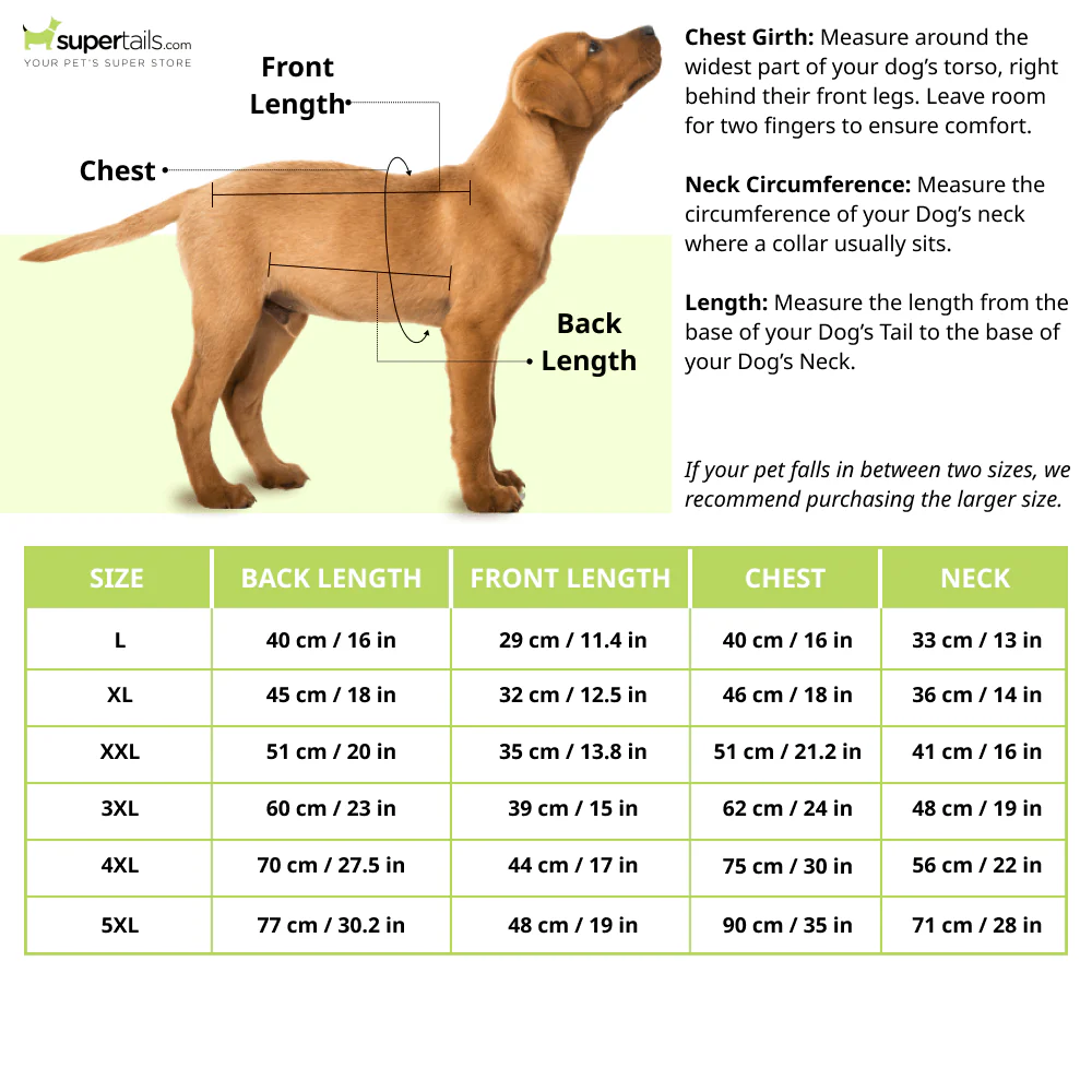 Dear Pet Stripes Pullover for Dogs (Cream & Orange) - Image 2