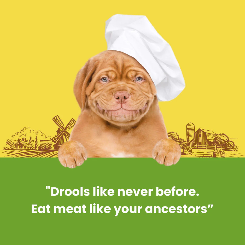 Dogfest Rabbit Meat Sticks Dog Treats - Image 3