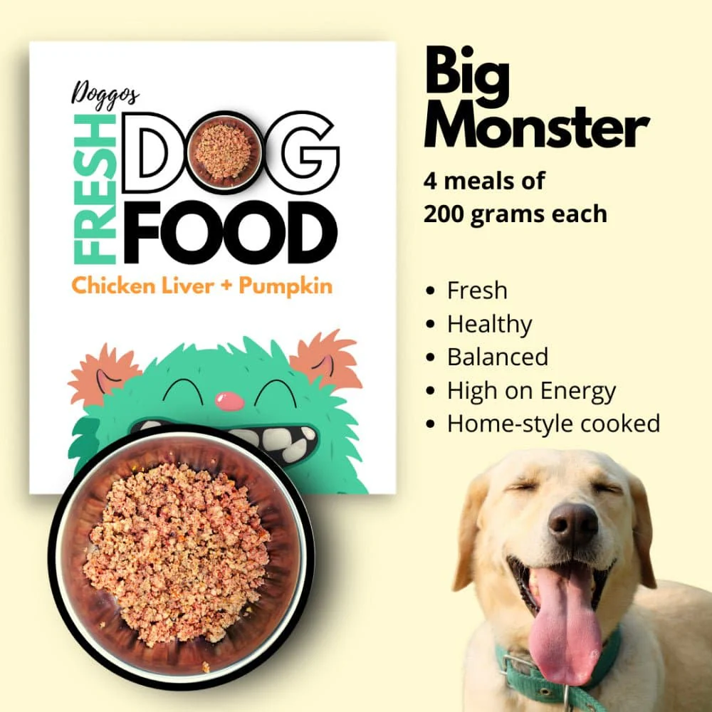 Doggos Big Monster Chicken and Pumpkin Fresh Dog Wet Food (All Breeds) - Image 3
