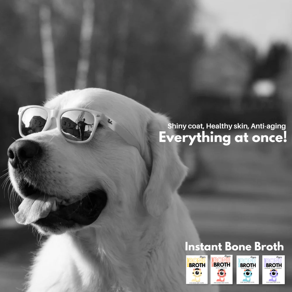 Doggos Instant Chicken Bone Broth for Dogs and Cats - Image 15