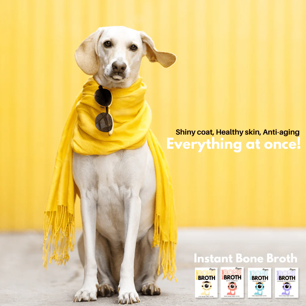 Doggos Instant Chicken Bone Broth with Carrot for Dogs and Cats - Image 16