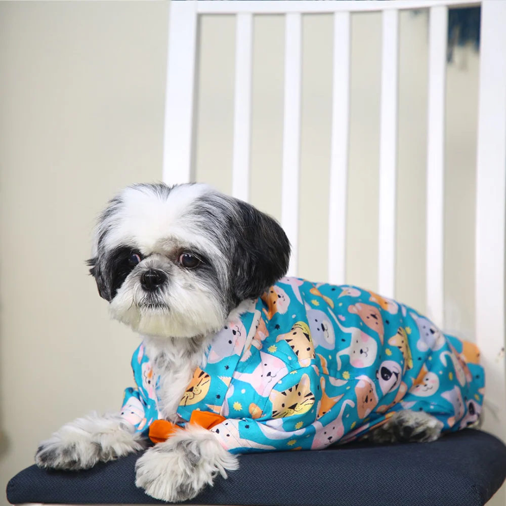 Dogobow Animal Print Shirt for Dogs (Teal) - Image 7