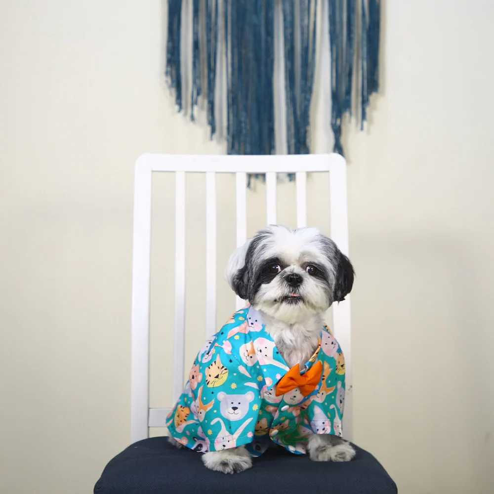 Dogobow Animal Print Shirt for Dogs (Teal) - Image 8