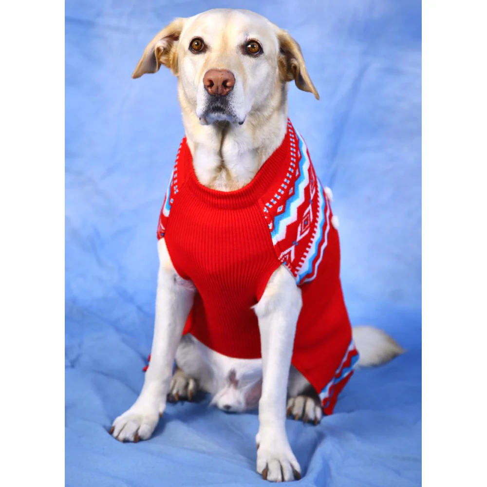 Dogobow Aztec Knit Sweater for Dogs and Cats (Red) (Get a Bow Free) - Image 6