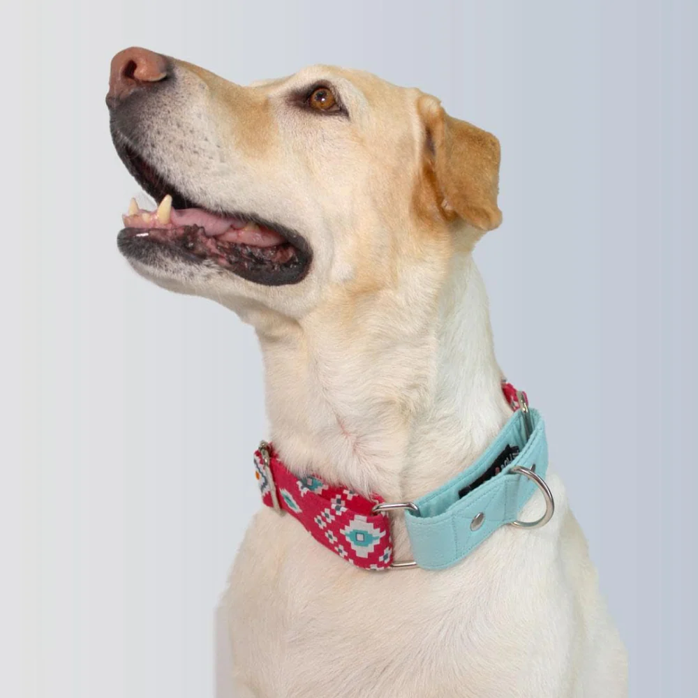 Dogobow Aztec Martingale Collar for Dogs (Teal Pink) (Get a Bow Free) - Image 4