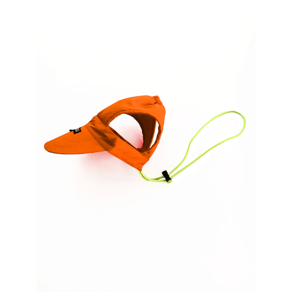 Dogobow Baseball Cap for Dogs and Cats (Orange) (Get a Bow Free) - Image 4