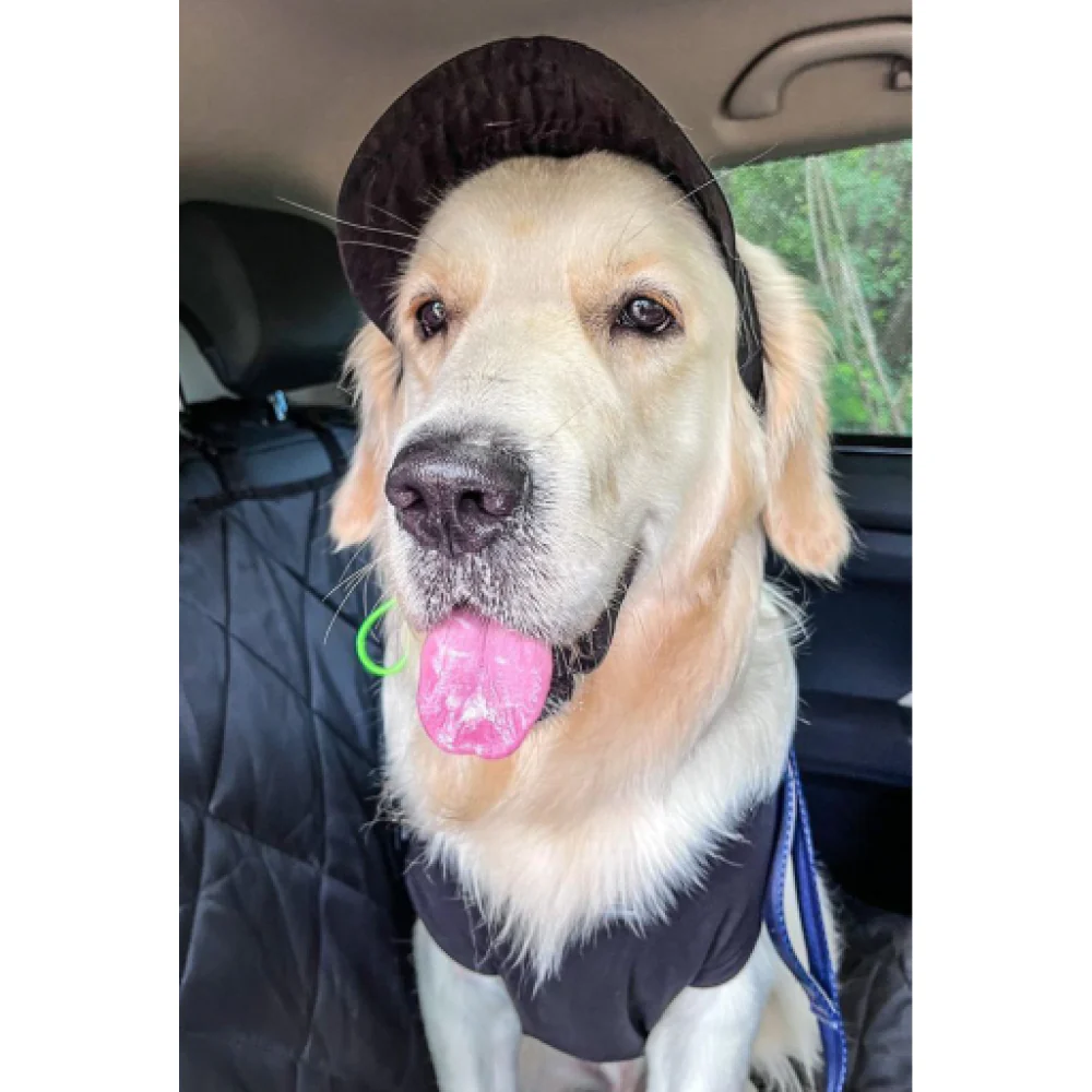 Dogobow Baseball Cap for Dogs (Black) (Get a Bow Free) - Image 4