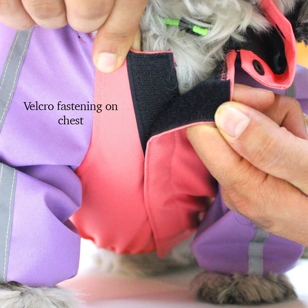 Dogobow Bubble's Dino Raincoat for Dogs and Cats (Pink/Purple) - Image 5