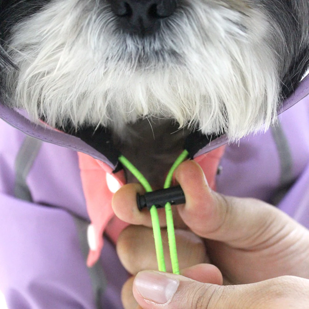 Dogobow Bubble's Dino Raincoat for Dogs and Cats (Pink/Purple) - Image 7