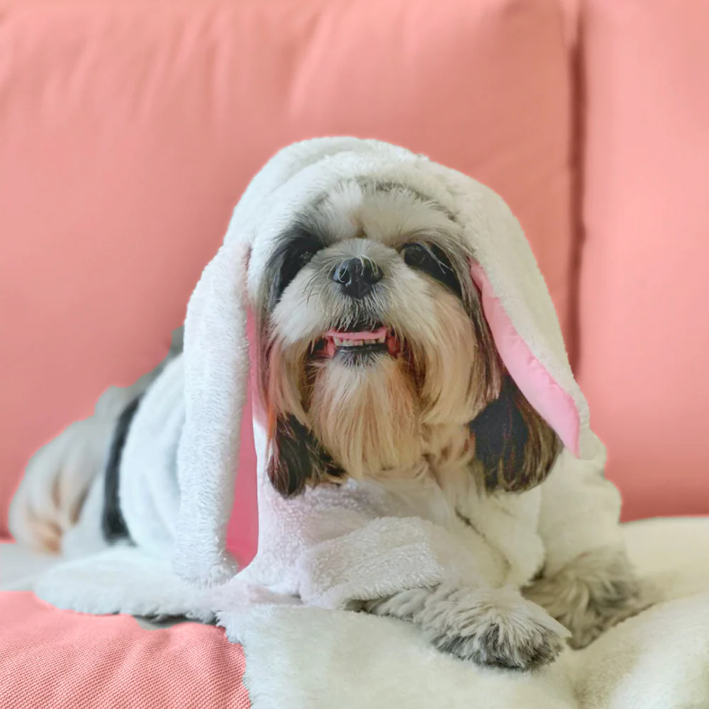 Dogobow Bunny Hoodie for Dogs and Cats (White) (Get a Bow Free) - Image 3