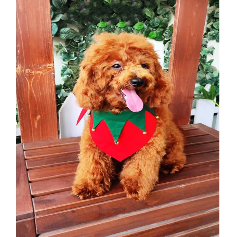 Dogobow Christmas scarf  for Dogs and Cats (Red & Green) (Get a Bow Free) - Image 5