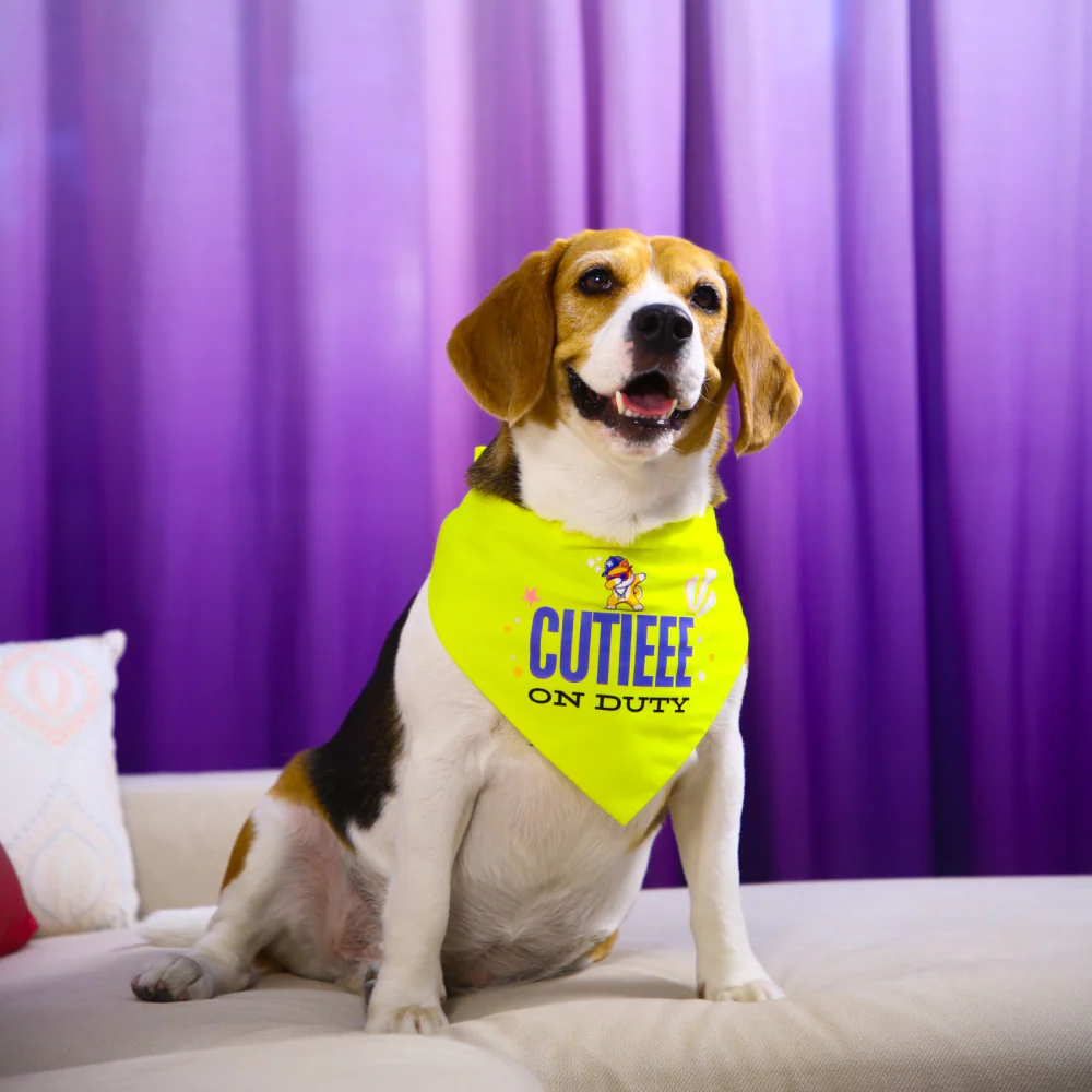Dogobow Cutie on Duty Bandana for Dogs (Yellow) - Image 4