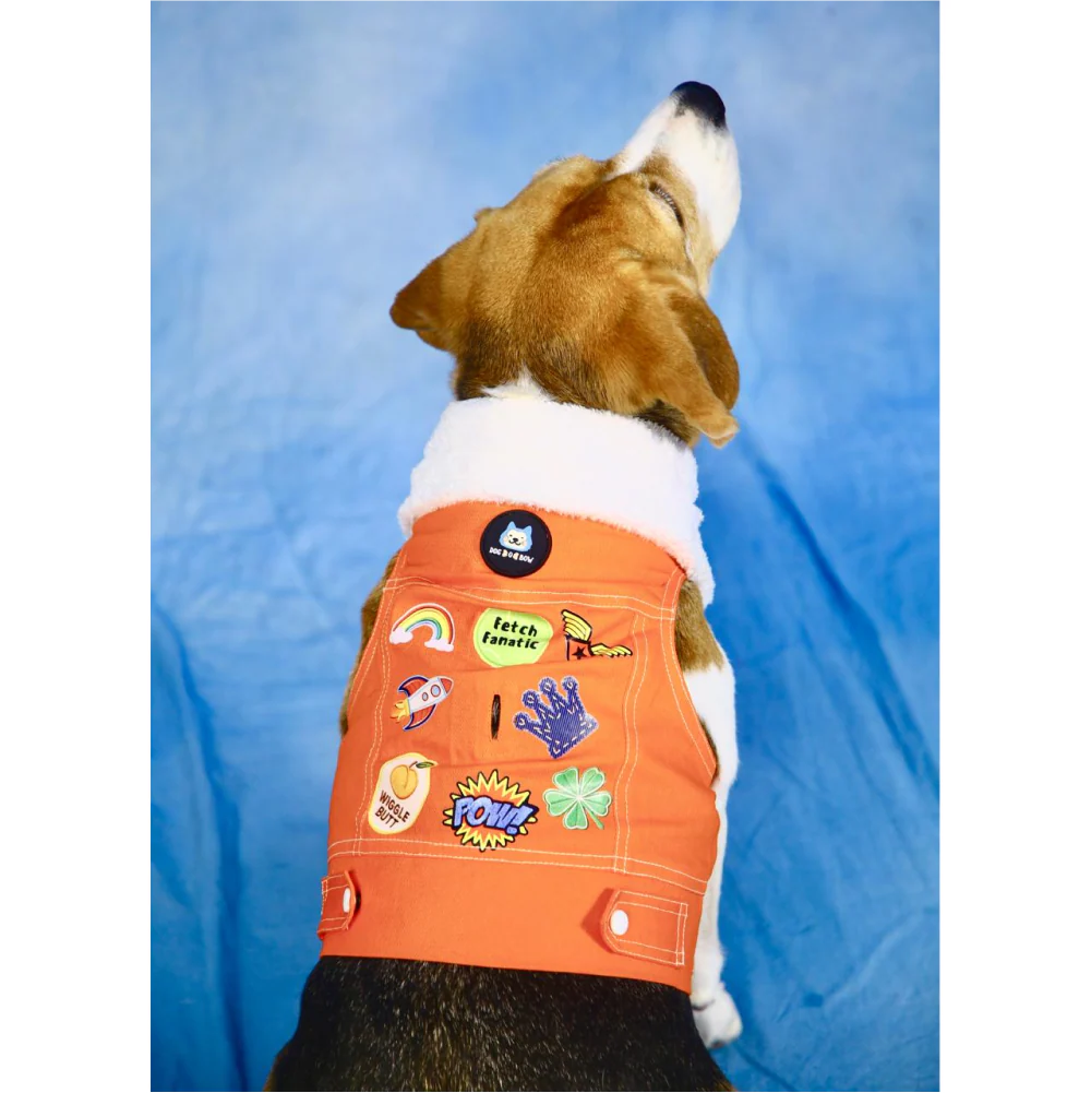 Dogobow Denim Jacket for Dogs and Cats (Orange) (Get a Bow Free) - Image 3