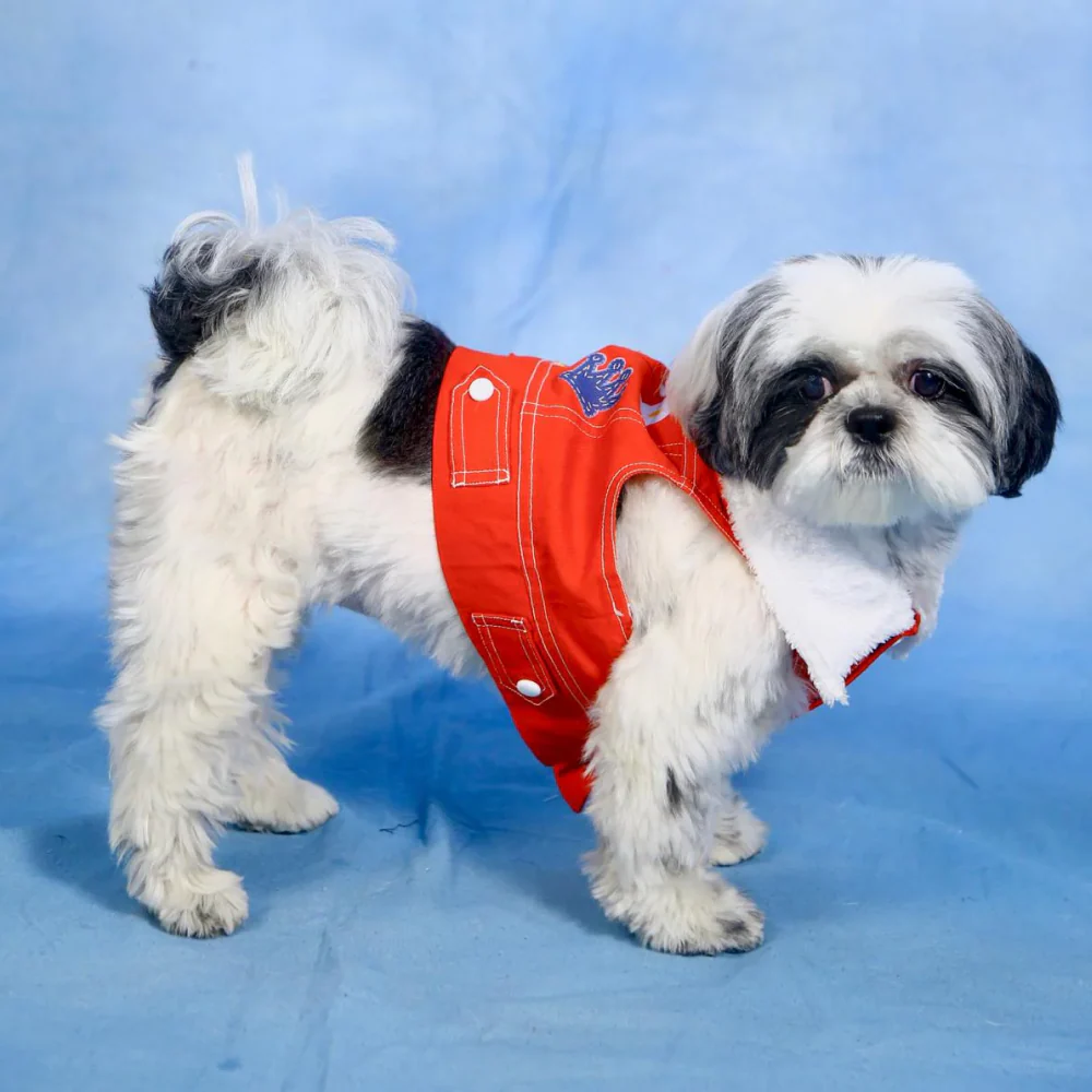 Dogobow Denim Jacket for Dogs and Cats (Red) (Get a Bow Free) - Image 4