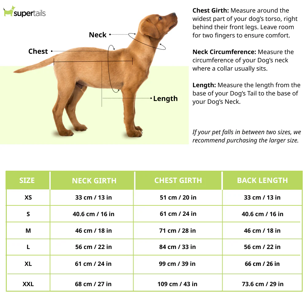 Dogobow Dino Hoodie for Dogs and Cats (Red) (Get a Bow Free) - Image 3