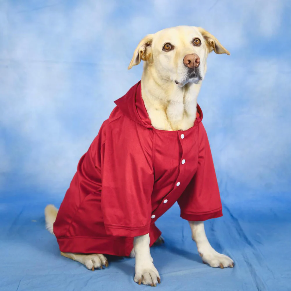 Dogobow Dino Hoodie for Dogs and Cats (Red) (Get a Bow Free) - Image 9