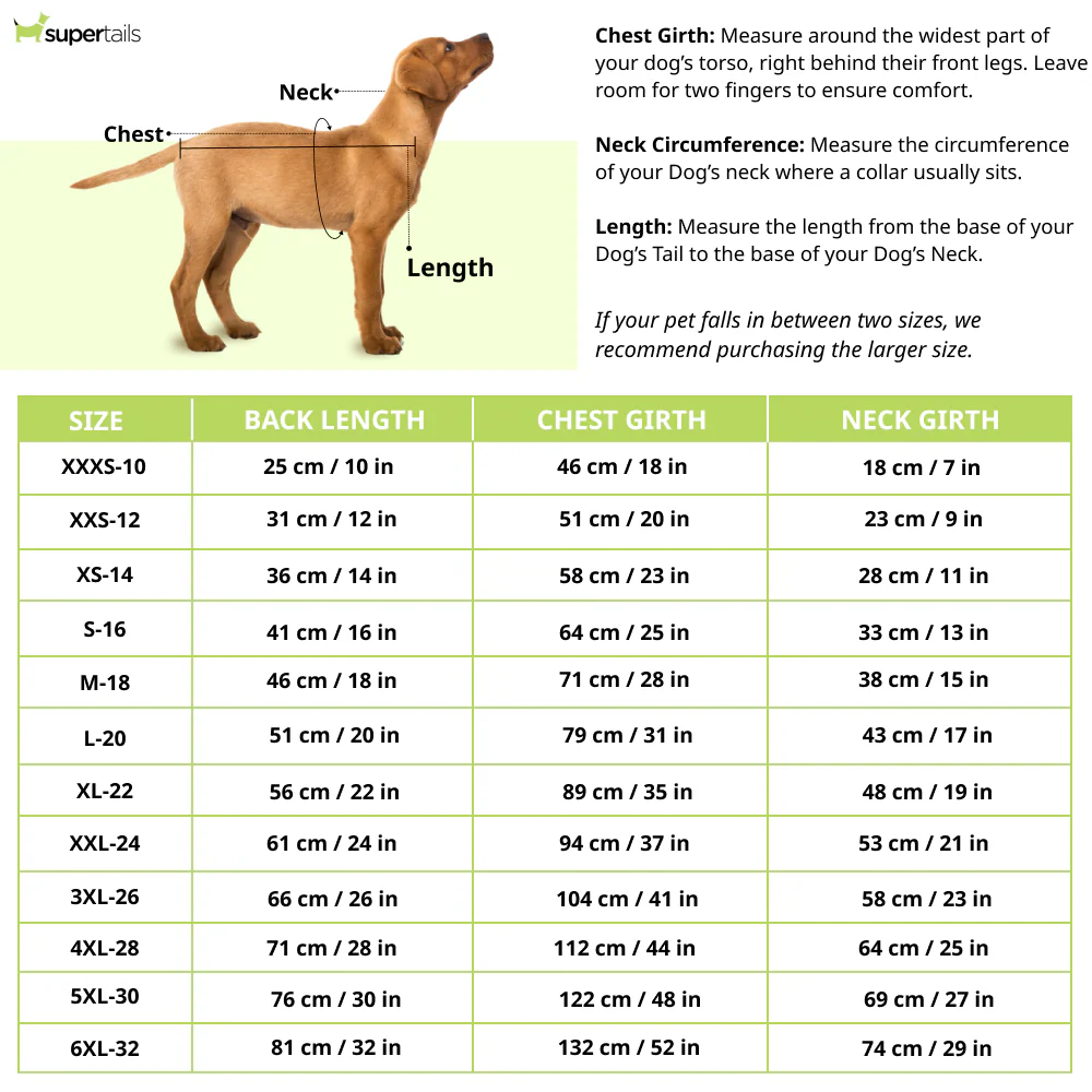 Dogobow Dino Raincoat for Dogs and Cats (Green) - Image 2