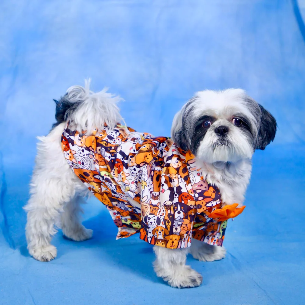 Dogobow Doggo Print Shirt for Dogs (Orange/White) - Image 5