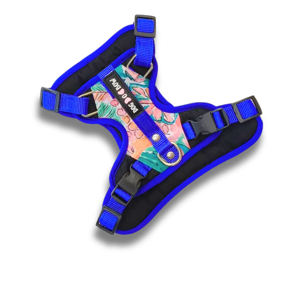 Dogobow Double Padded Harness with Tropicana Print for Dogs (Teal Green) - Image 2